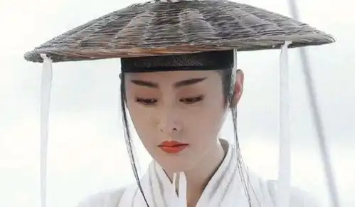 雪中悍刀行徐凤年有几个老婆这部剧讲了什么