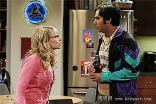 生活大爆炸第五季第一集回归剧情简介剧照预览
