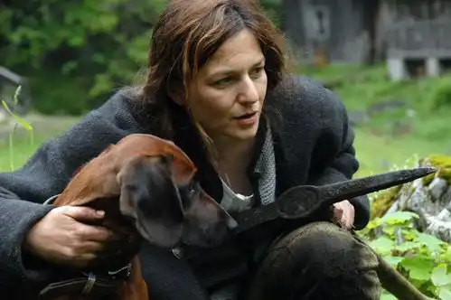 隐墙在末日,写下一份无人知晓的报告
