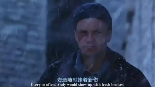 肖申克的救赎一个囚犯如何越狱成为人生赢家
