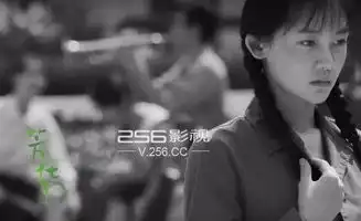 陈敢芳华逝去的时代悲歌评电影芳华的悲剧性
