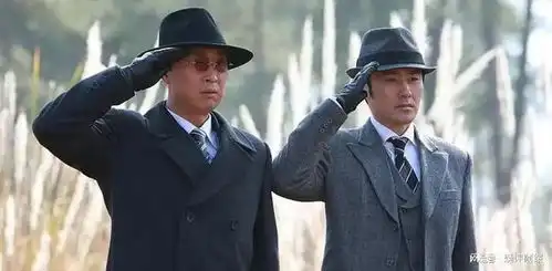 十部高分国产谍战剧风筝排第七,第一名豆瓣评分9.5
