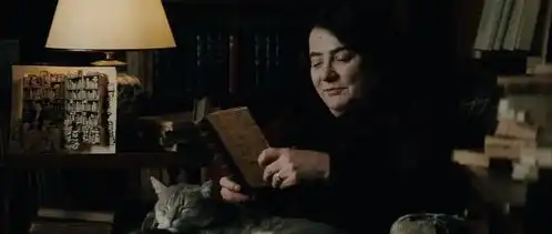 高分电影刺猬的优雅孤独的你,终会被相似的人遇见
