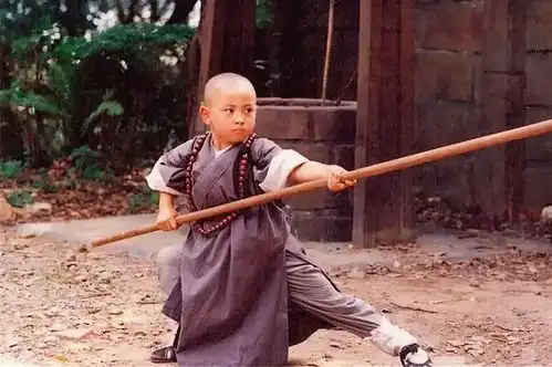 大侠霍元甲中几位徒弟的扮演者有童星出道的释小龙,还有刘天池的学生
