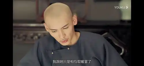 延禧攻略里富察傅谦说自己和尔晴是互相取暖

