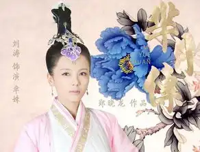 女星刘涛丹麦被盗保险箱丢400万首饰现金大案要案频道中国警察网
