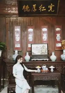 葛天新剧剧照曝光旗袍造型惊艳
