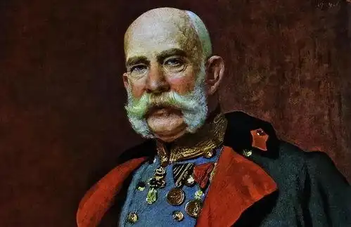 1898年茜茜公主遇刺,丈夫剪下她一缕头发放在胸口,至死没有再娶
