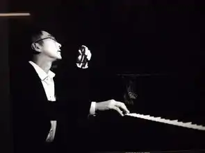 钢琴家赵胤胤古典音乐界中的技术控
