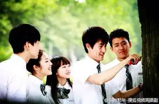 电视剧版的匆匆那年