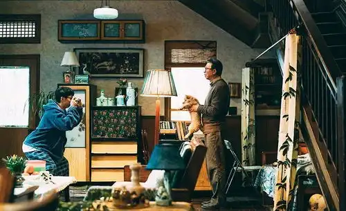 忠犬八公票房破亿人与狗的老故事为何依然感人
