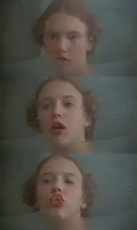 欢迎来到纳博科夫的乡愁博物馆,内含活动
