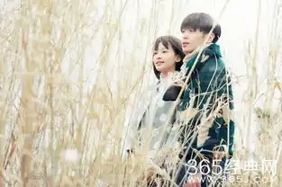 十五年等待候鸟电视剧全集观看十五年等待候鸟124分集剧情简介及大结局
