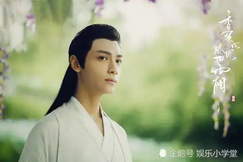 新剧半是蜜糖半是伤11月苏州开机,当红小生罗云熙合作白鹿