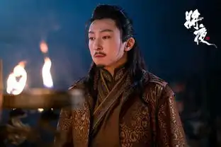 将夜亲王和西陵什么关系亲王为什么要陷害宁缺父亲将军府