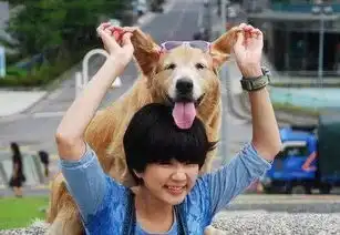 那些年追过的经典偶像剧,童年女神们如今都怎么样了呢
