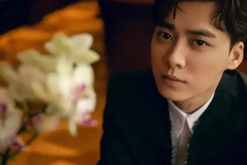 李易峰突破的力量