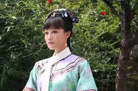 甄嬛传剧照白领