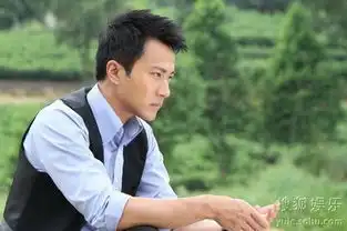 刘恺威近年电视剧剧照