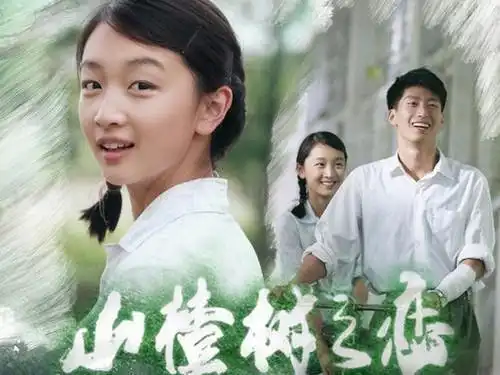 山楂树之恋静秋原来这才是,爱情最美的样子