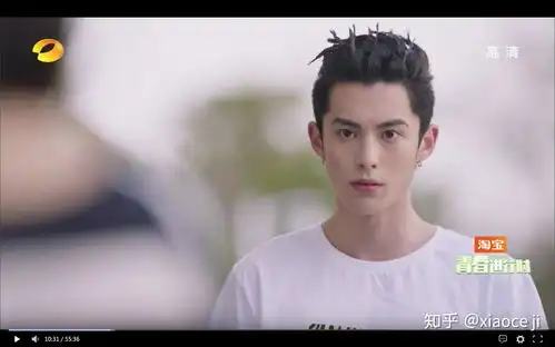 如何评价王鹤棣
