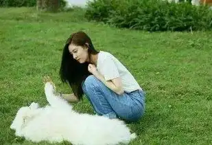 陈思诚唐人街2王宝强出演女主却换成她
