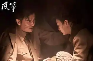 强情节快节奏幽闭空间国产谍战剧已进化到电影级剧情了