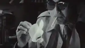 是臆想是仰望
