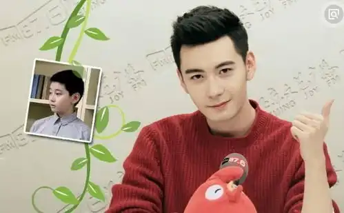 电视剧东宫女主资料起底系范冰冰新签艺人长相偏网红