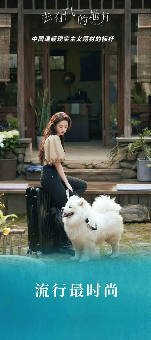 李米莉评去有风的地方华策多年精制生产的又一力作