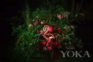 欧阳娜娜头戴钻冕化身爱丽丝梦游仙境中的小公主
