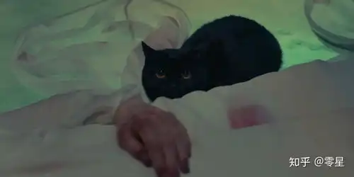 妖猫传刘昊然定妆照受热捧,造型背后的角色故事,更让人泪目