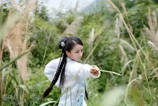 清宫穿越情感大戏宫精美剧照29
