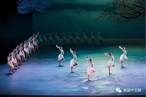 顶尖舞剧朱鹮北美将首演中国元素意境优美
