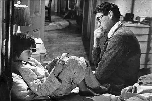 杀死一只知更鸟愿你保持善良,愿你温暖如光