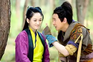 笑傲江湖湖南热播韩栋甘当陈乔恩护花使者
