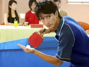 乒乓剧照