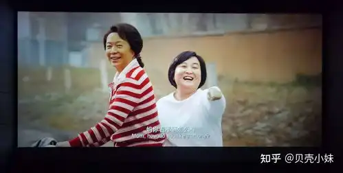 收集你好,李焕英的文案