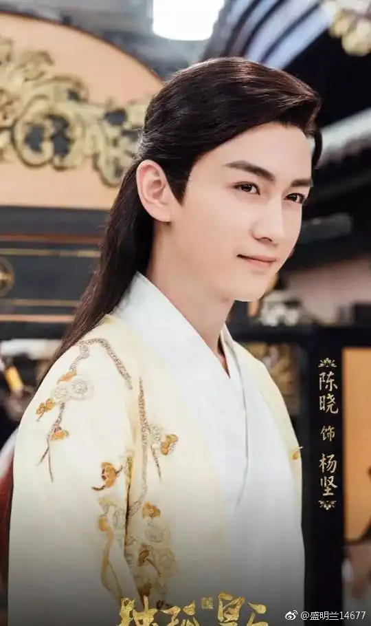 只想说一句陈晓的杨坚真的太美貌了