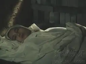 著名导演谢铁骊逝世经典作品回顾