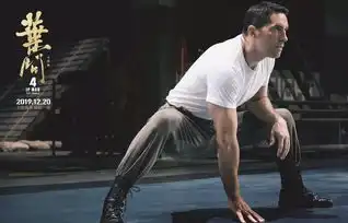 叶问4曝大结局无限制格斗剧照