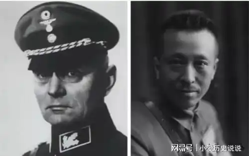 一个中国老太太,让比利时举国对她致敬,回国后只字不提鲜为人知