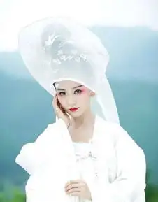 古装剧中的奇葩造型董洁头戴金针菇,李小冉头顶一颗迎客松
