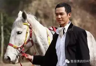 何以笙箫默钟汉良高冷帅出新高度过往作品盘点
