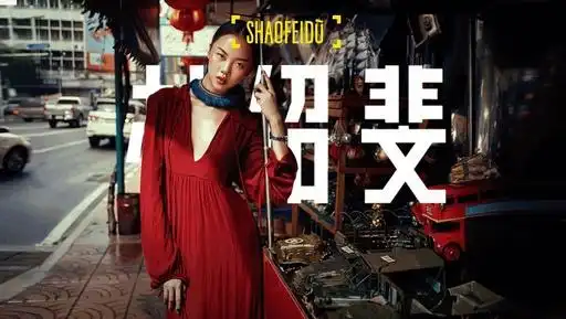 一个北京姑娘的罗曼蒂克消亡史真实故事