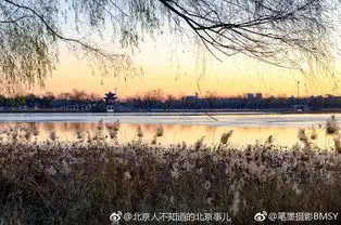 颐和园冬日晨光照亮昆明湖畔金光四溢
