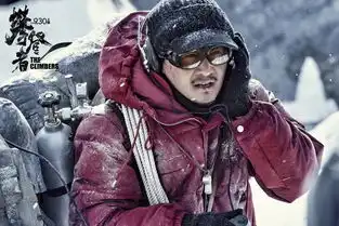 冲顶中国高度丨电影攀登者上海举行全球首映礼
