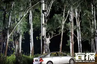 盲探刘德华遭追杀爬树林雪演悍匪
