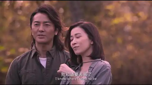 黄金兄弟郑伊健送佘诗曼项链,这类型也太奇怪了
