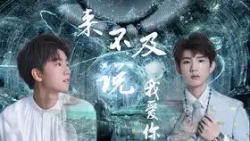 来不及说我爱你第二集